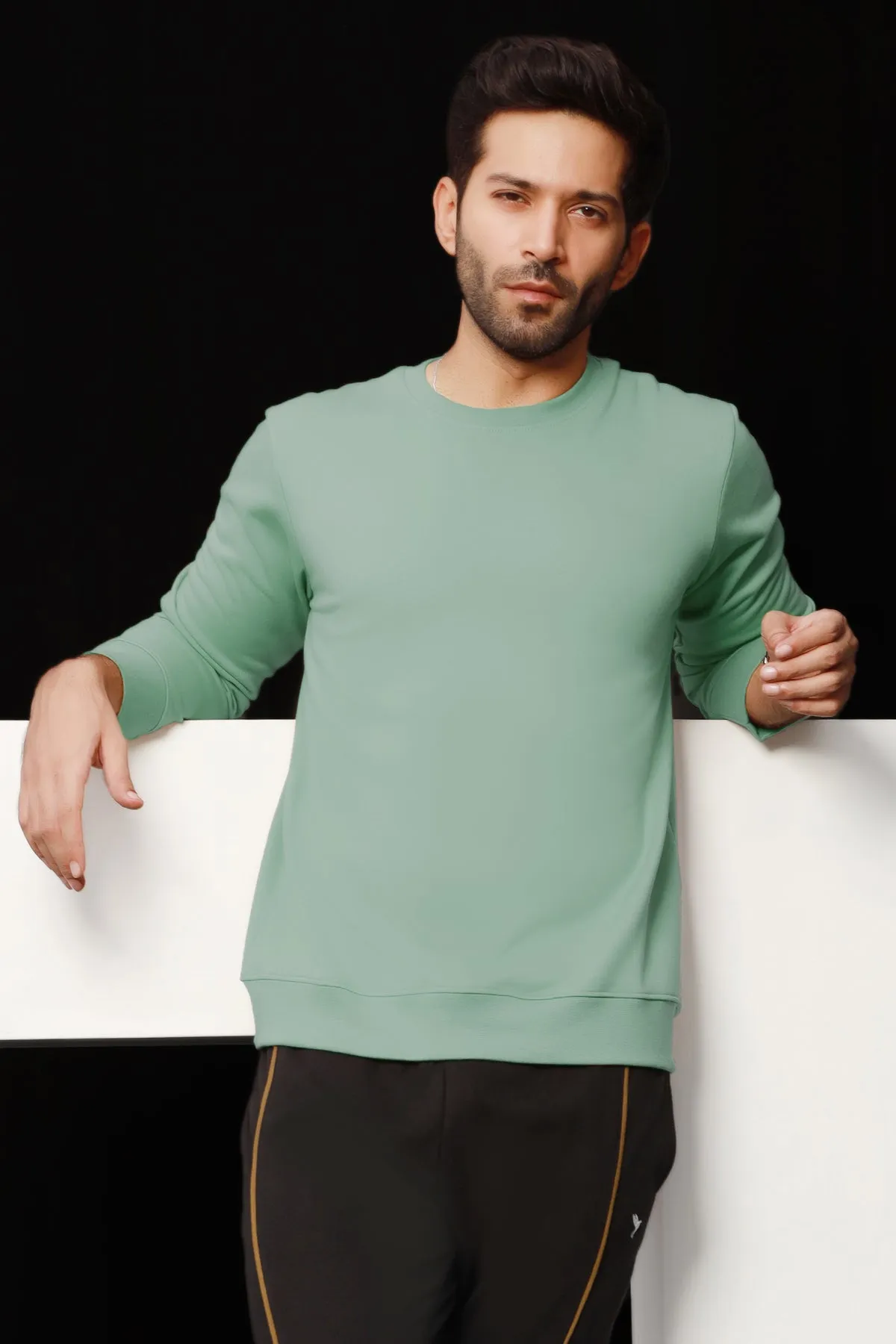 Basic Tea Green Sweatshirt - W21 - MSW011R